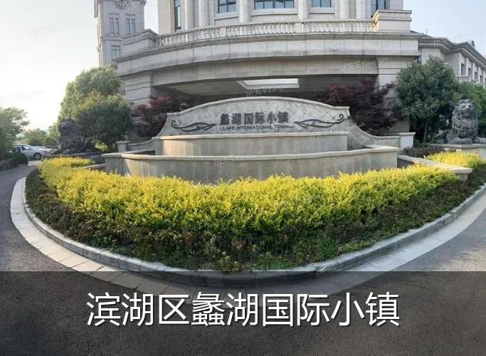 滨湖区蠡湖国际小镇