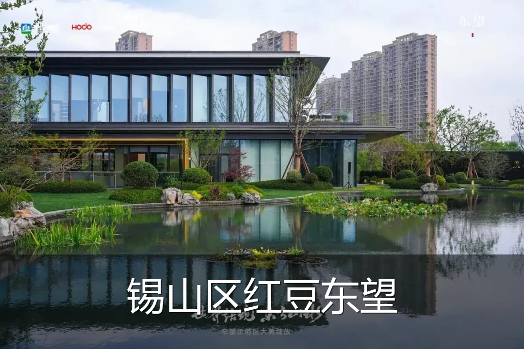 锡山区红豆东望